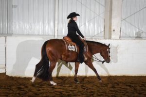 adult woman showing her bay horse for Western Pleasure competition