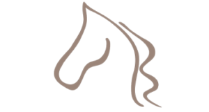 horse head design for Burdick Equine Veterinarian Practice
