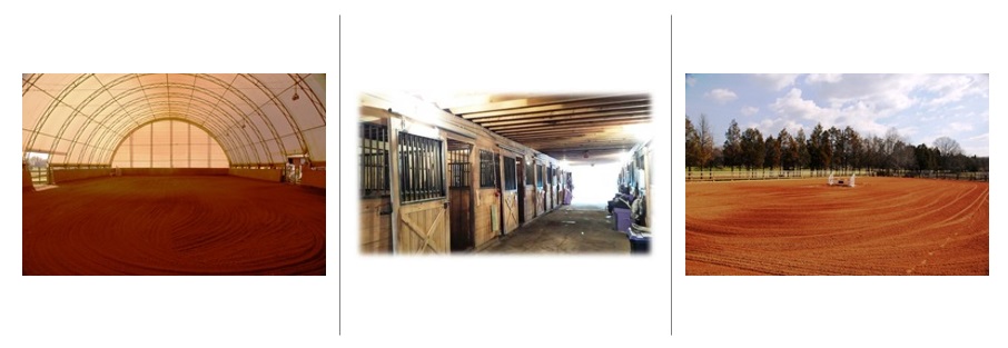 picture of inside of indoor arena, picture of horse boarding stalls inside main barn, picture of main arena