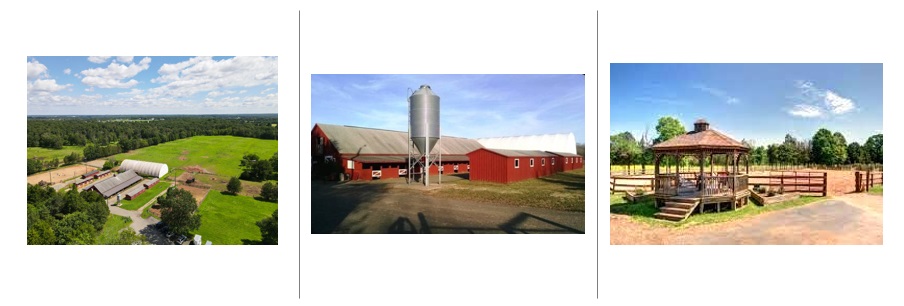 picture of arial view of farm, picture of shed row, silo, and main barn, picture of gazebo and main riding arena