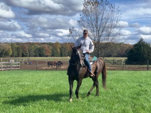 owner riding his bay horse