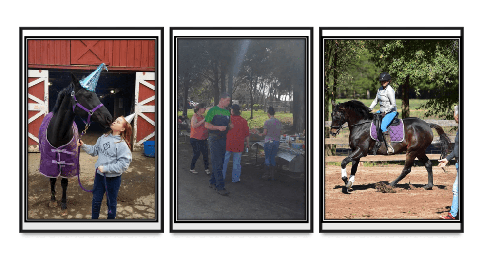 multiple pictures of people with horses depicting other services SES offers