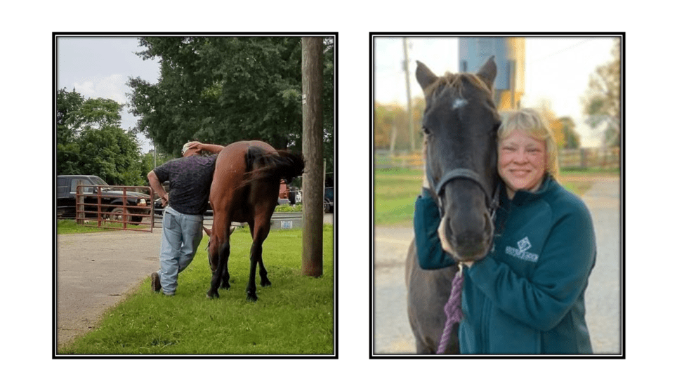 double picture - Man and bay horse standing with backs to camera and blonde woman standing with bay horse