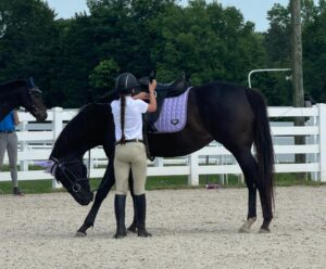 girl making girth adjustments on dark horse in ring