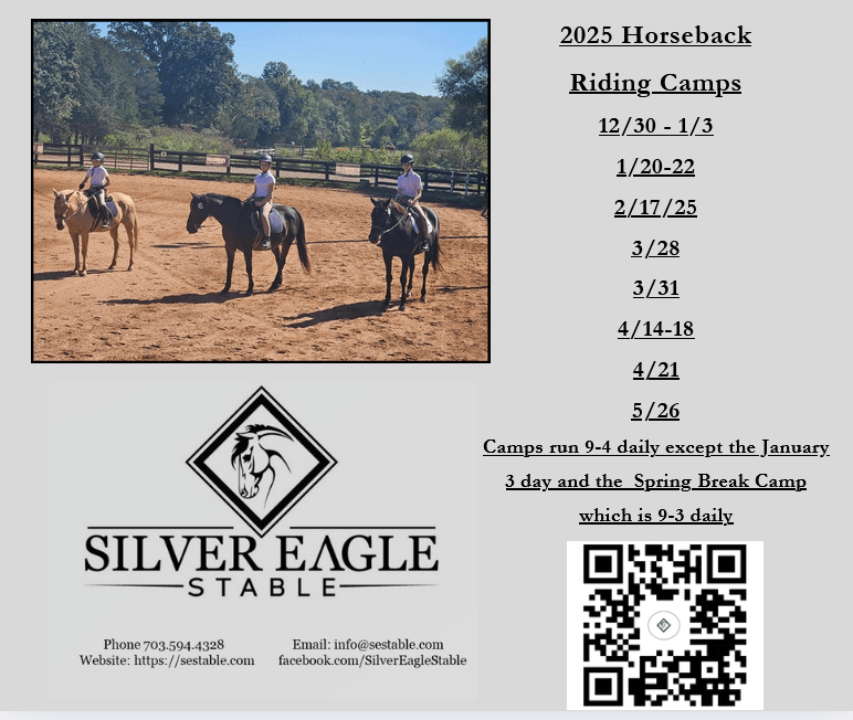 ad for 2025 horseback riding camps