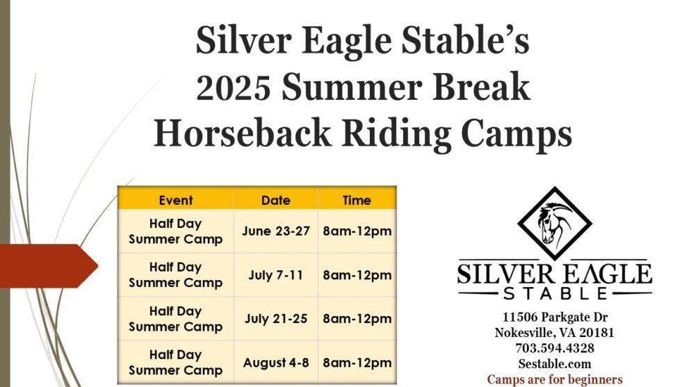 Ad for 2024 Summer Break Horseback Riding Camps