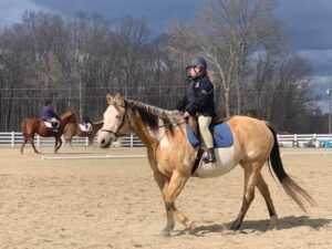 student on palomino pony
