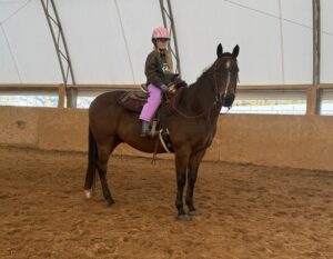 youth student on bay horse in indoor arena