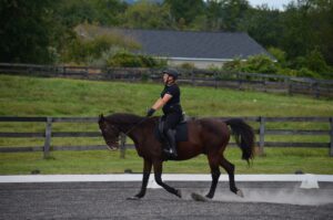 Adult student showing dk bay horse in dressage ring
