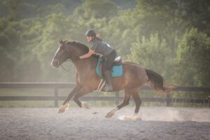 woman on bay horse in arena