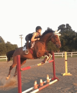woman jumping bay horse in arena