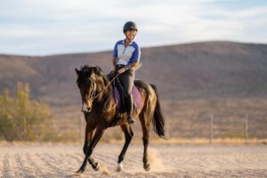 woman riding brown horse in arena