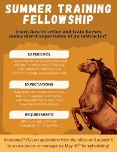 Flyer for our Summer Training Fellowship