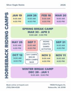 graphic of 2026 horseback riding camps