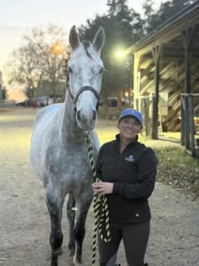 white horse with female holding him