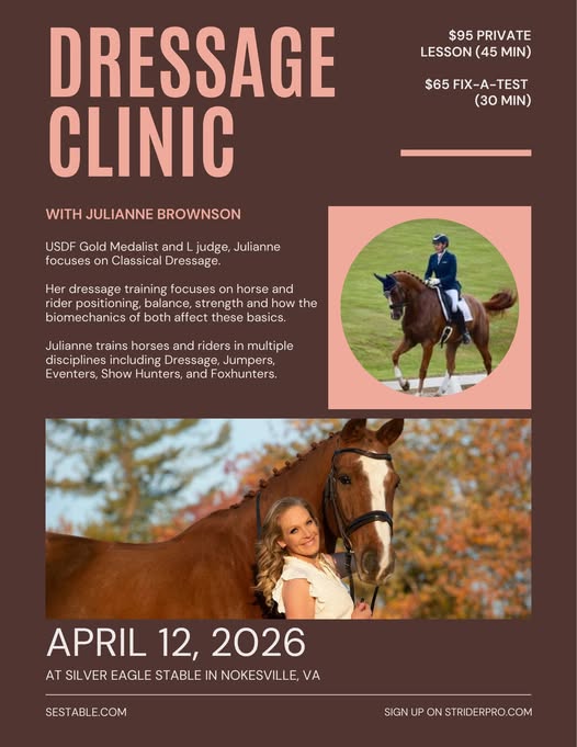 flyer for dressage clinic